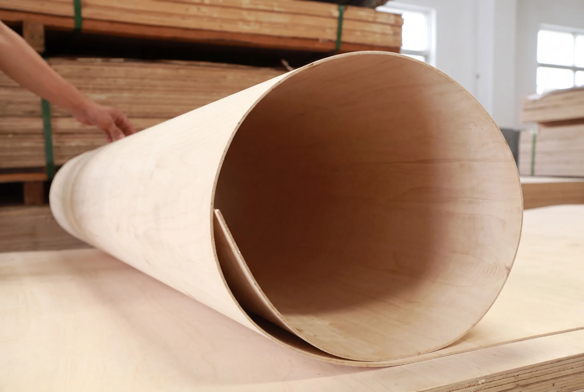 Flexible Plywood, photo 1 of 1